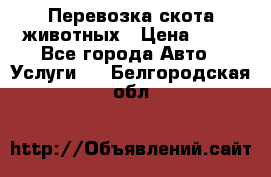 Перевозка скота животных › Цена ­ 39 - Все города Авто » Услуги   . Белгородская обл.